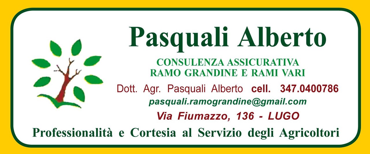 PASQUALI_ALBERTO
